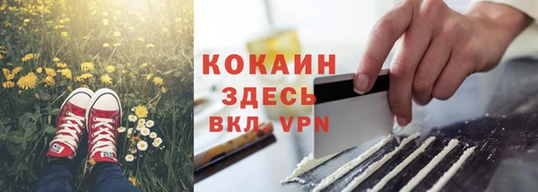 ешки Белокуриха