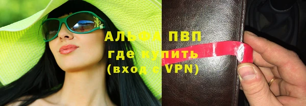 ешки Белокуриха