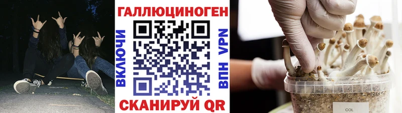 Галлюциногенные грибы Cubensis Онега